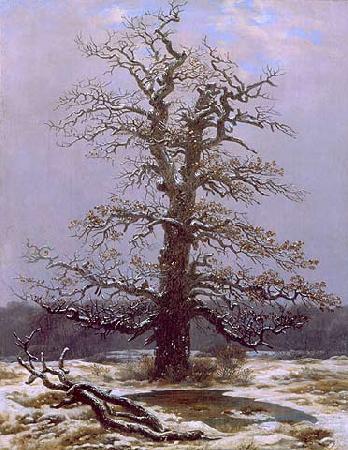 Caspar David Friedrich Dab na sniegu Germany oil painting art